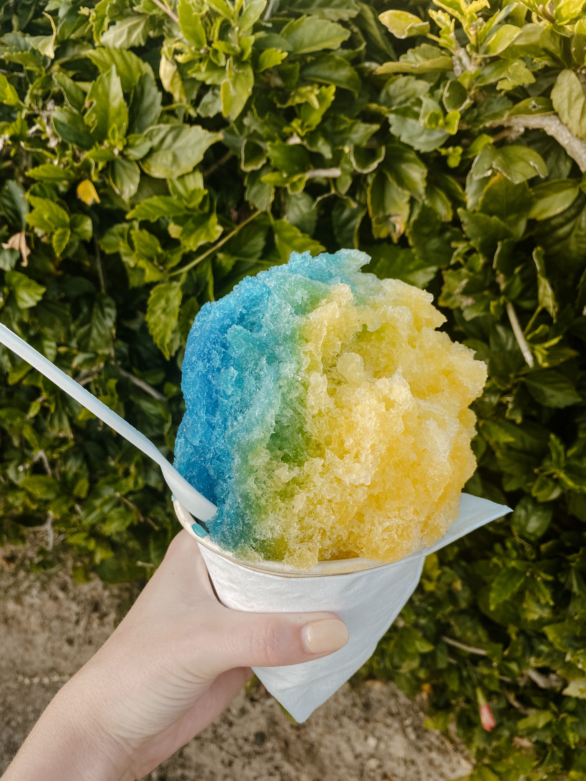 Best Shave Ice Places on Kauai - thewildlylife.com