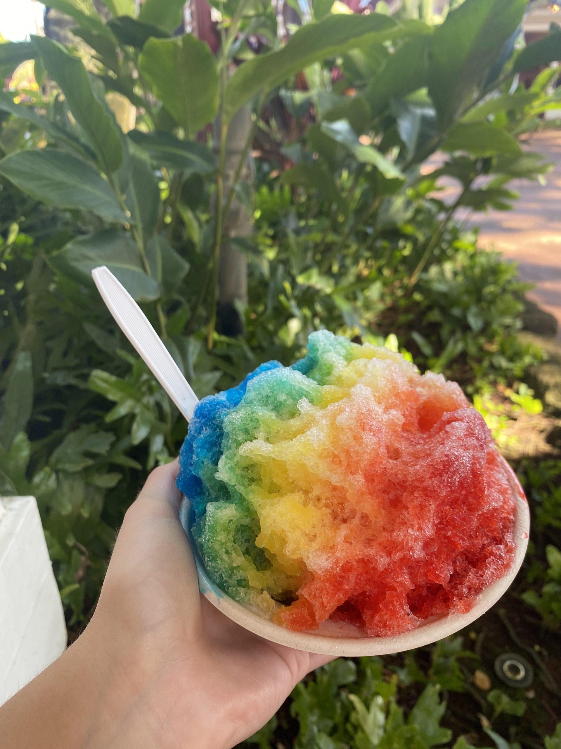 Best Shave Ice Places on Kauai - thewildlylife.com