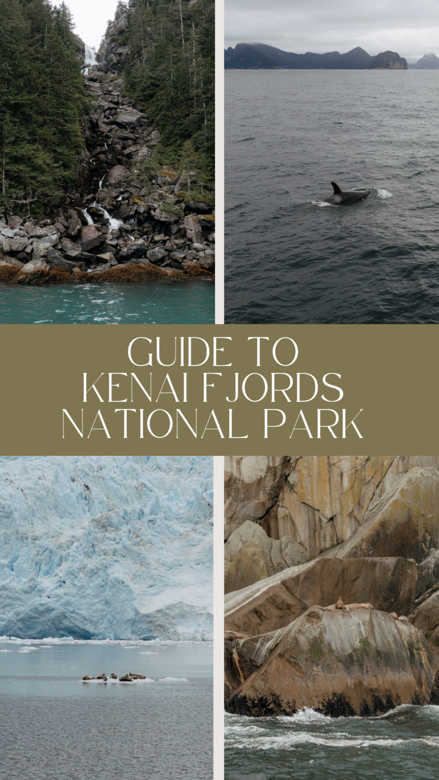 Guide To Kenai Fjords National Park - Thewildlylife.com