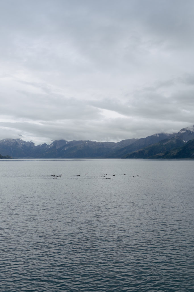 Visiting Kenai Fjords National Park 