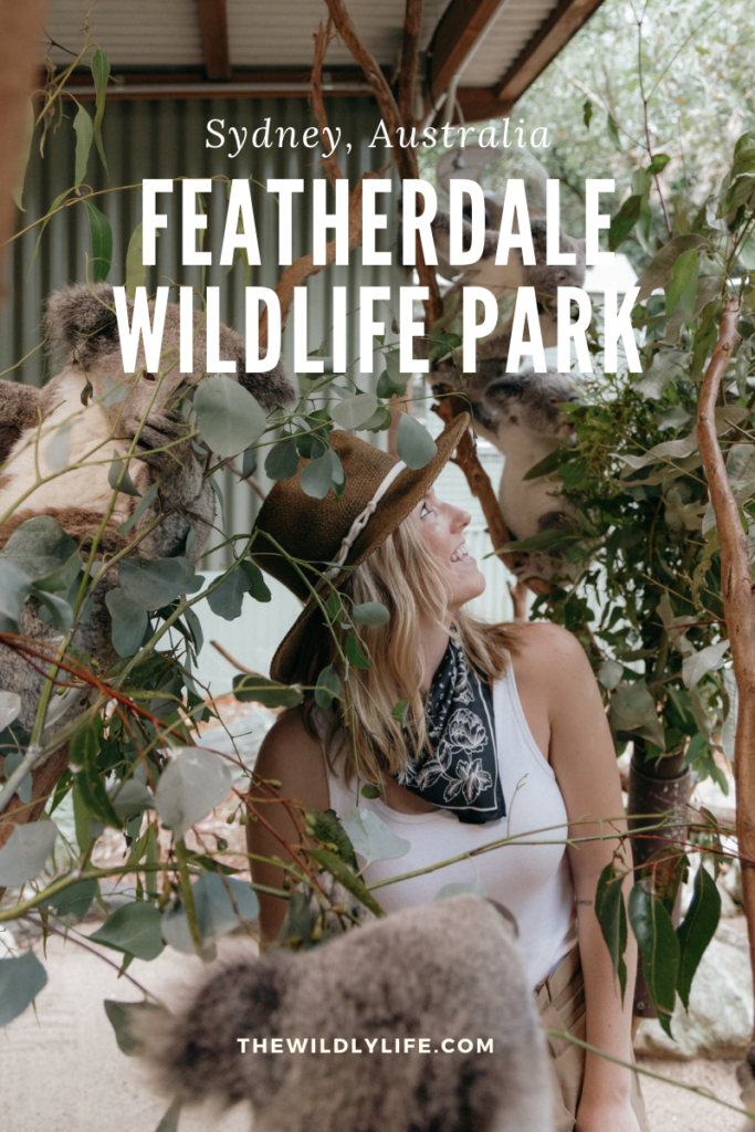 Visiting Featherdale Wildlife Park in Sydney
