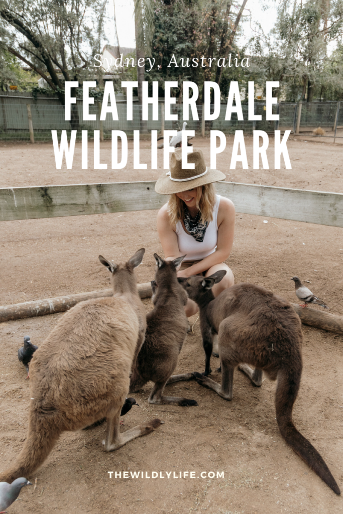 Featherdale Wildlife Park in Sydney