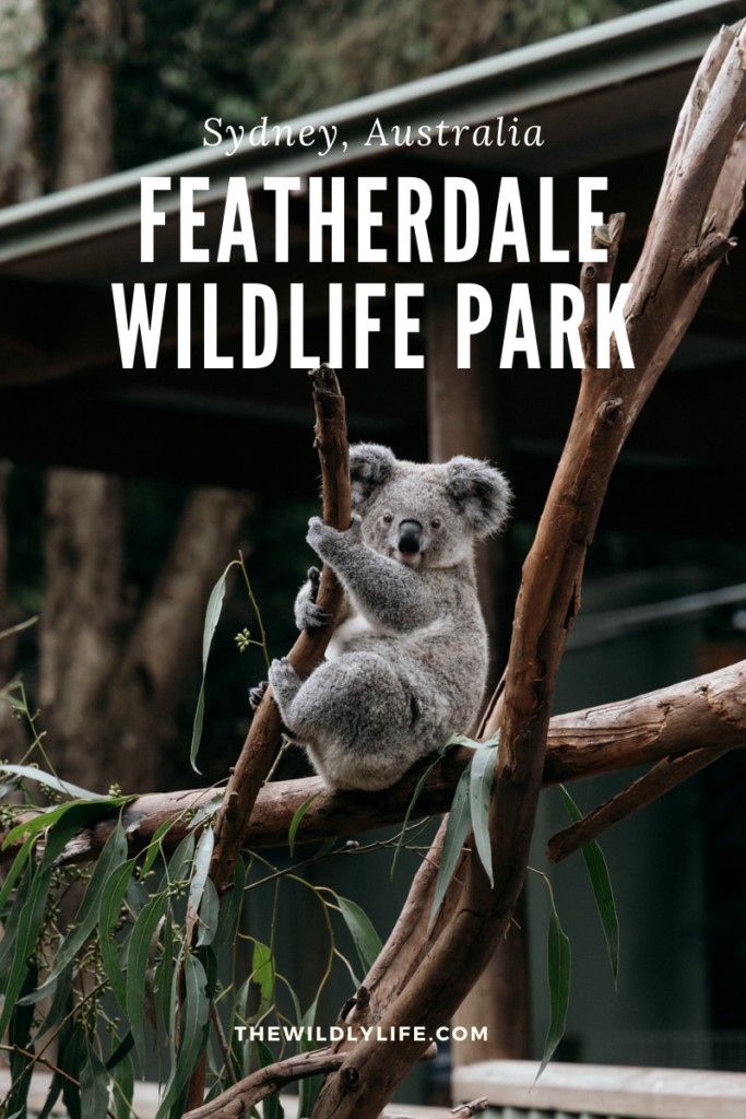 Visiting Featherdale Wildlife Park