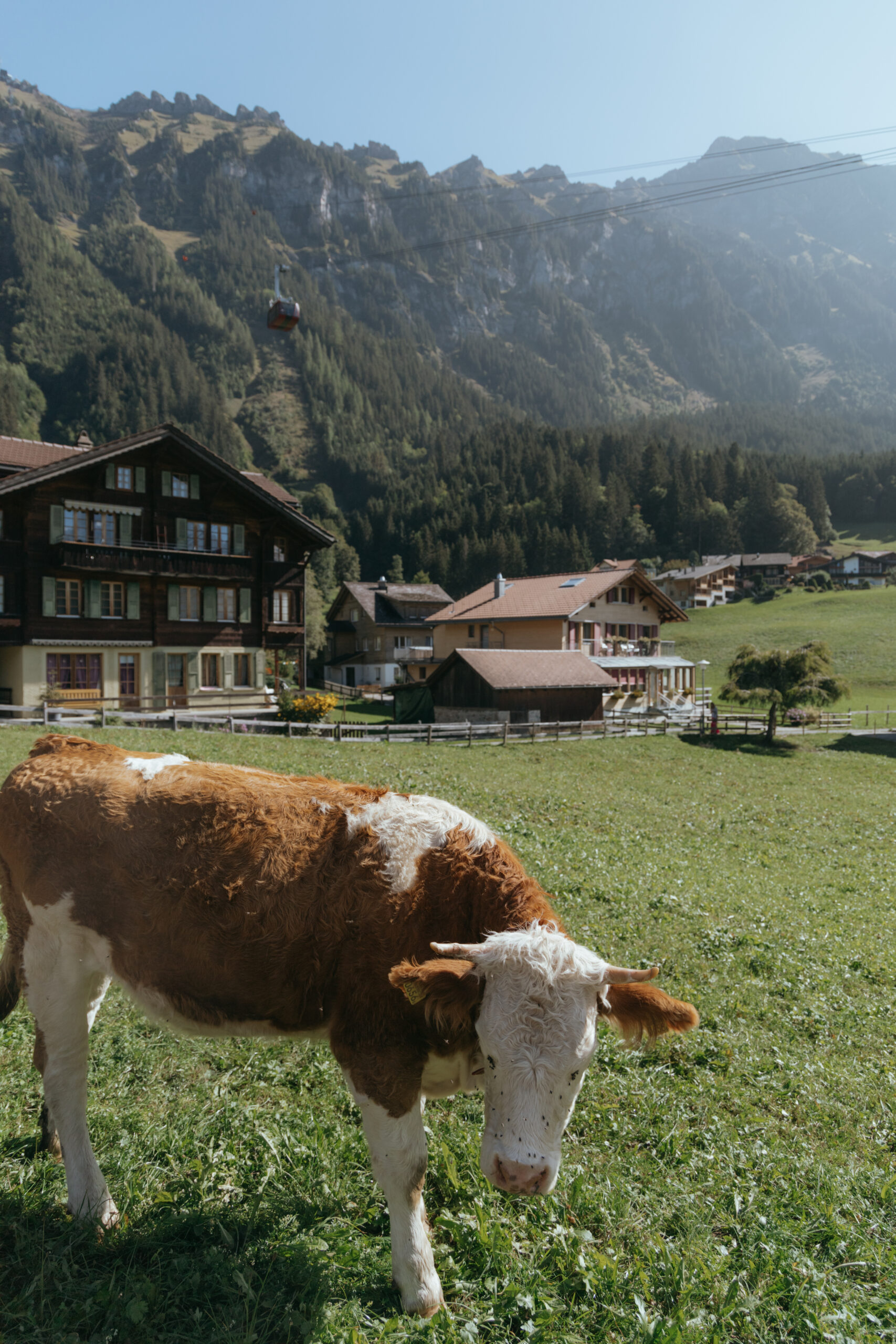 views from wengen one of the best villages in Switzerland